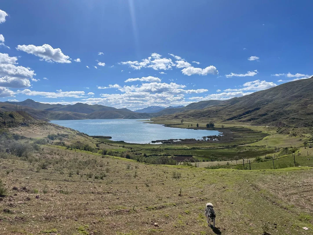 High-Andean scenery on the lakes circuit
