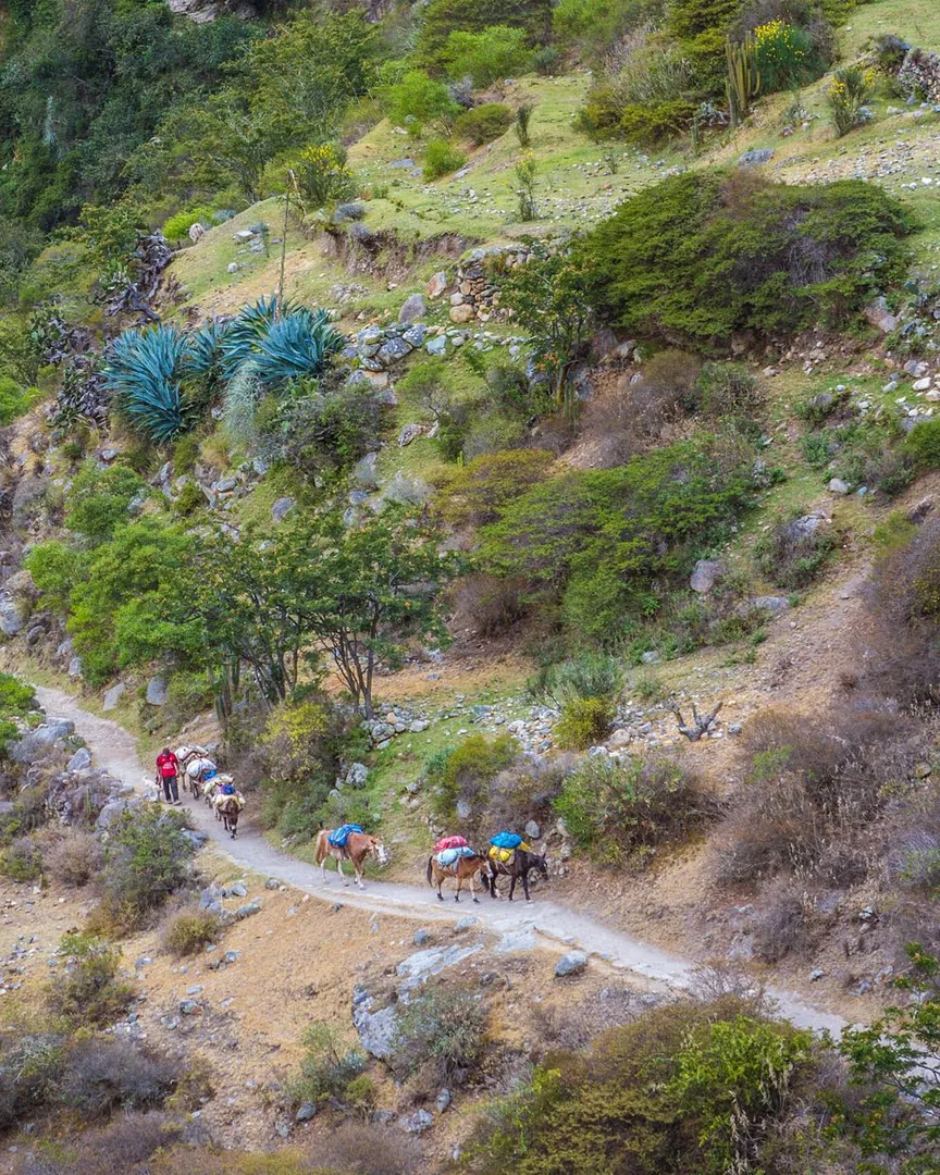 Machu Picchu citadel