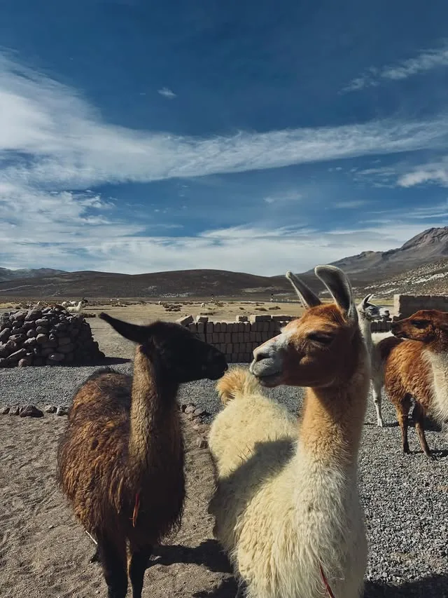 Arequipa highlands